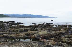 OWHIRO-BAY (5)